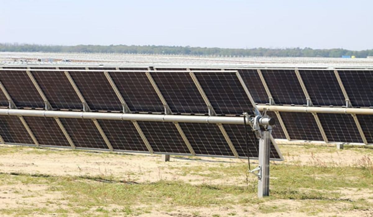 Modules solaires bifaciaux monocristallins